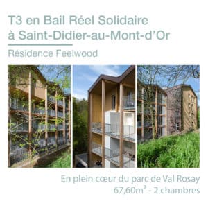 annonce feel wood